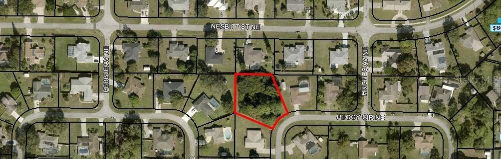 335 NE PEGGY CIRCLE NE, Palm Bay, FL 32907