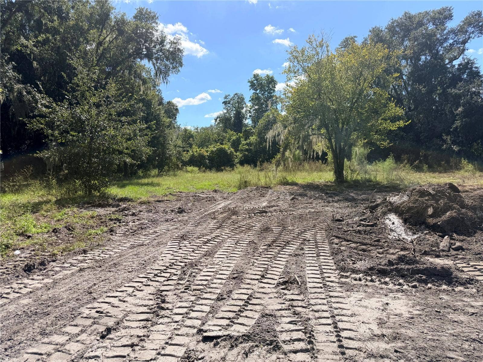 4528 MEADOWVIEW DRIVE, Lakeland, FL 33810 4528 MEADOWVIEW DRIVE, Lakeland, FL 33810