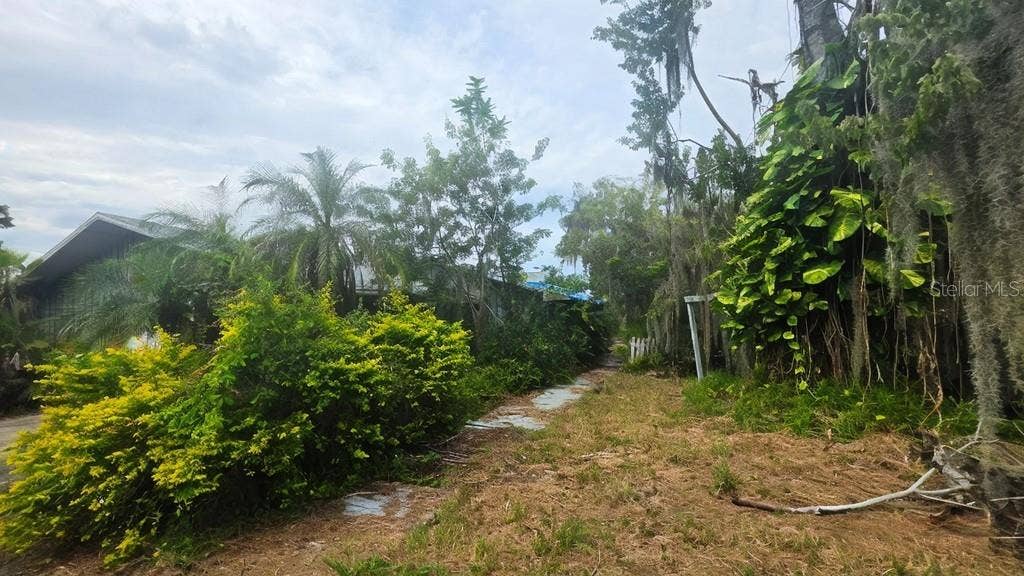 Front walk way area