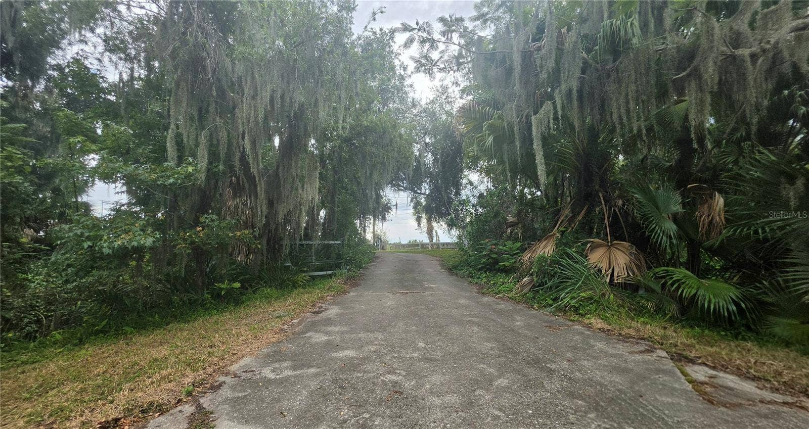 Road view