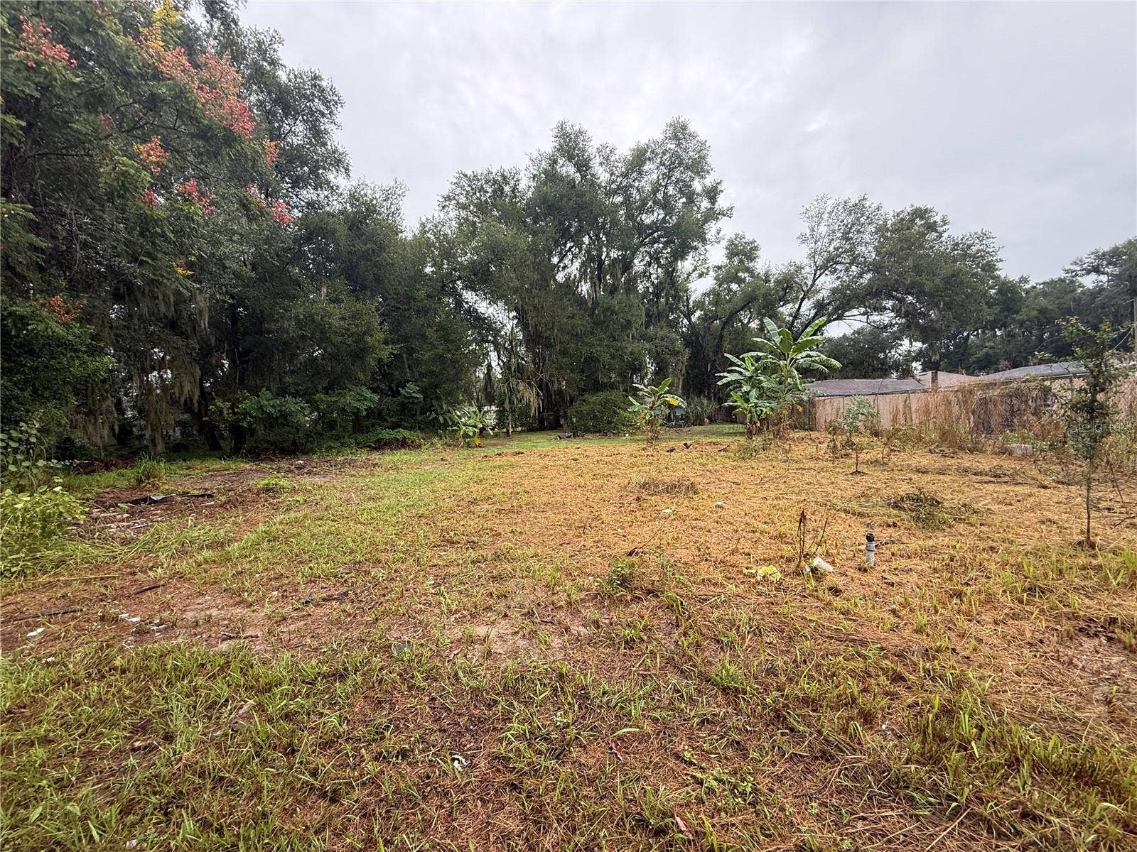 817 SE PINE AVE, Fort Meade, FL 33841 Yard