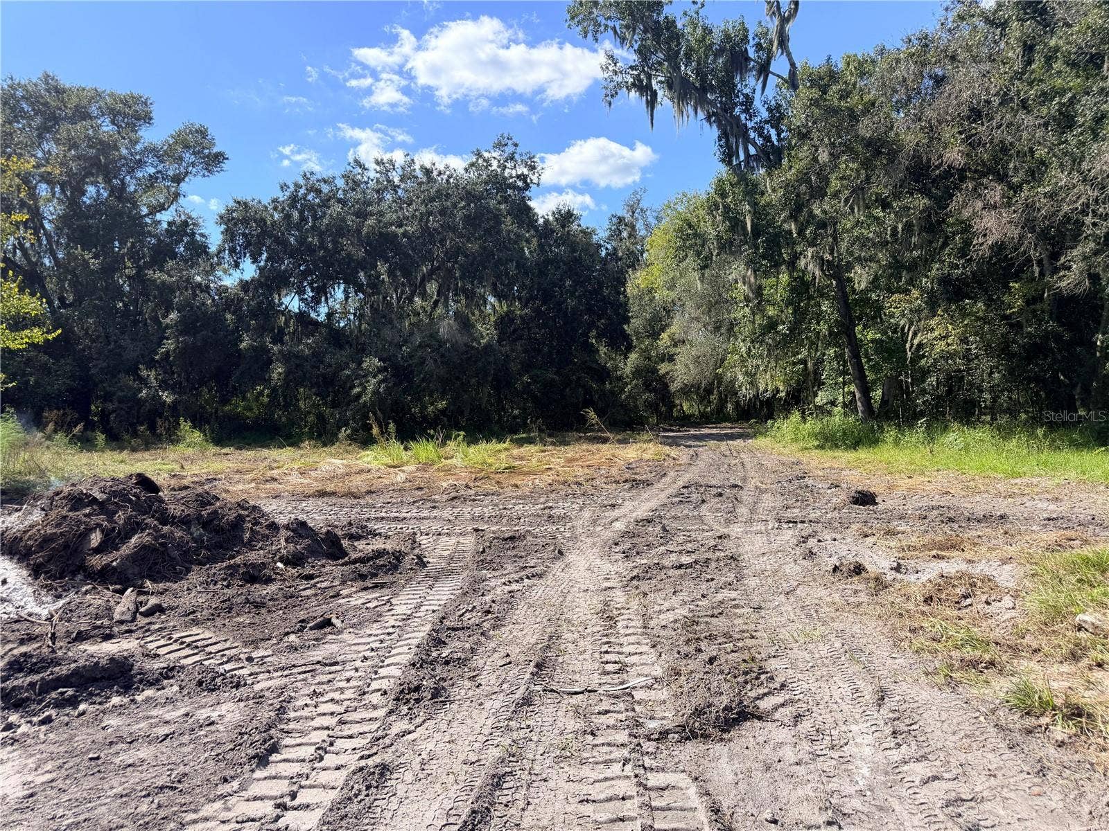 4528 MEADOWVIEW DRIVE, Lakeland, FL 33810