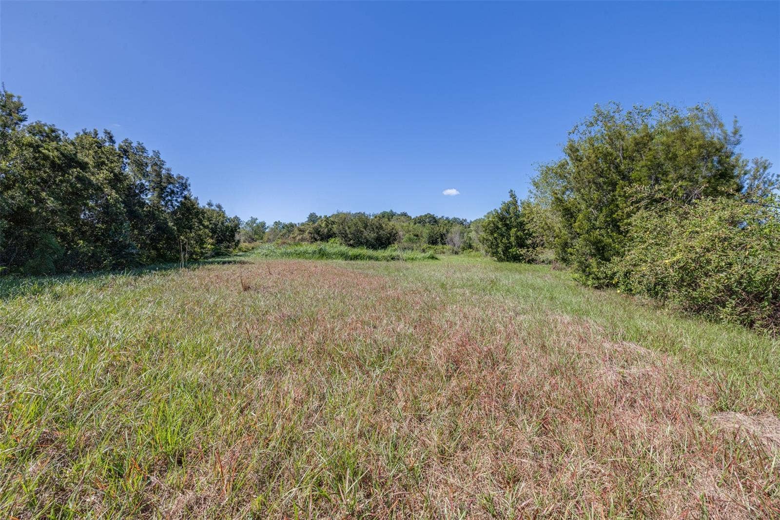 2957 N TIVOLI ROAD, Avon Park, FL 33825 2957 N TIVOLI ROAD, Avon Park, FL 33825