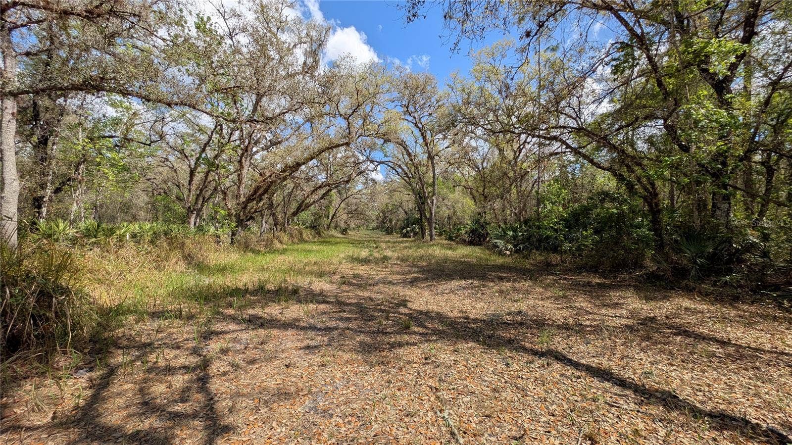 GILLETTE ROAD, Zolfo Springs, FL 33890 GILLETTE ROAD, Zolfo Springs, FL 33890
