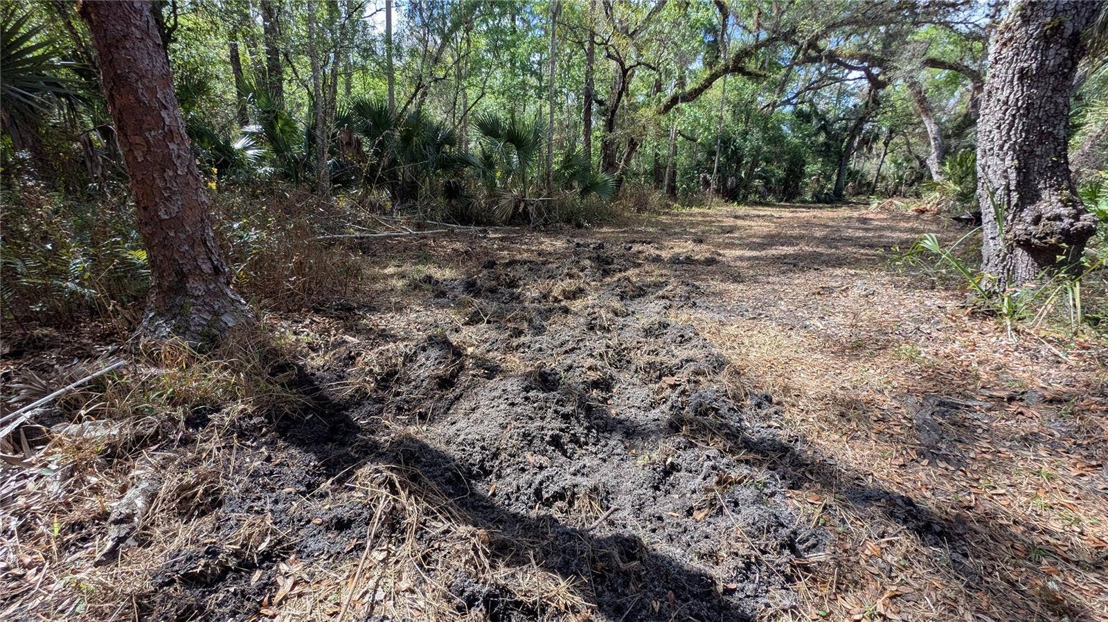 GILLETTE ROAD, Zolfo Springs, FL 33890 GILLETTE ROAD, Zolfo Springs, FL 33890