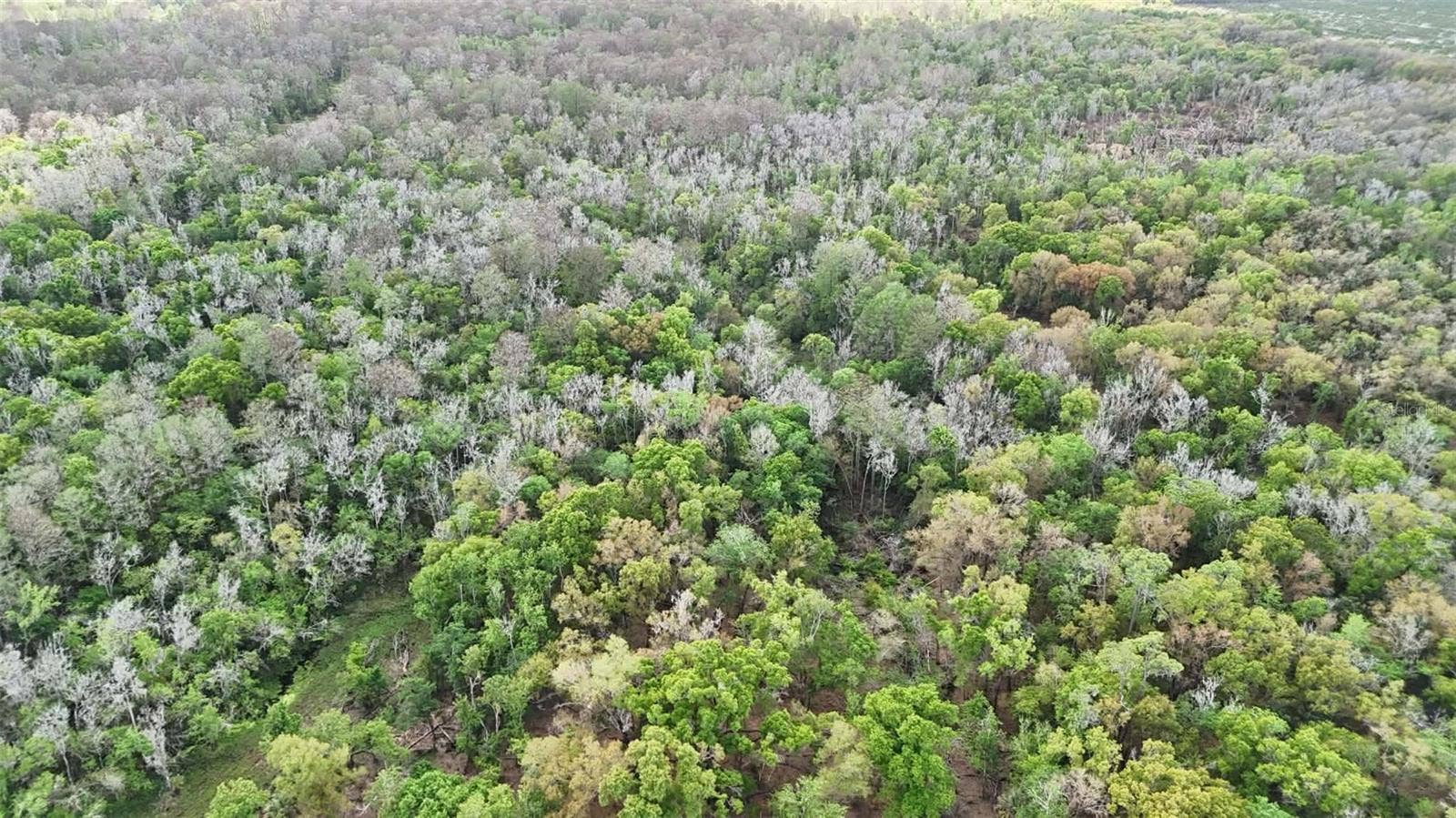 GILLETTE ROAD, Zolfo Springs, FL 33890 GILLETTE ROAD, Zolfo Springs, FL 33890