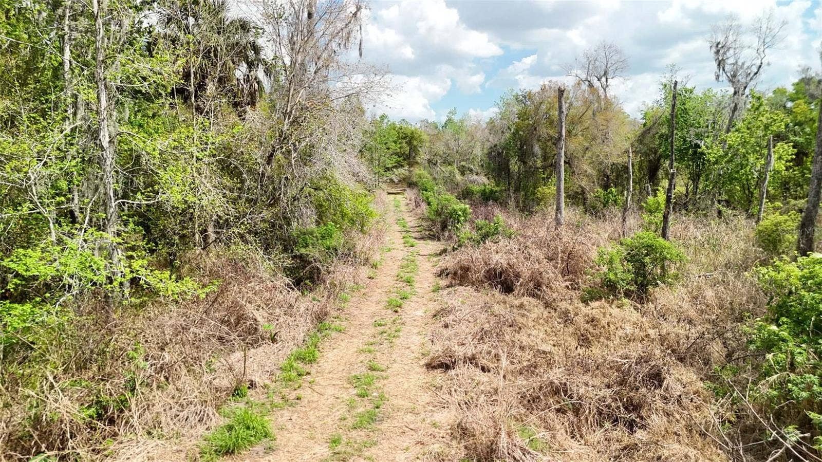 GILLETTE ROAD, Zolfo Springs, FL 33890 GILLETTE ROAD, Zolfo Springs, FL 33890