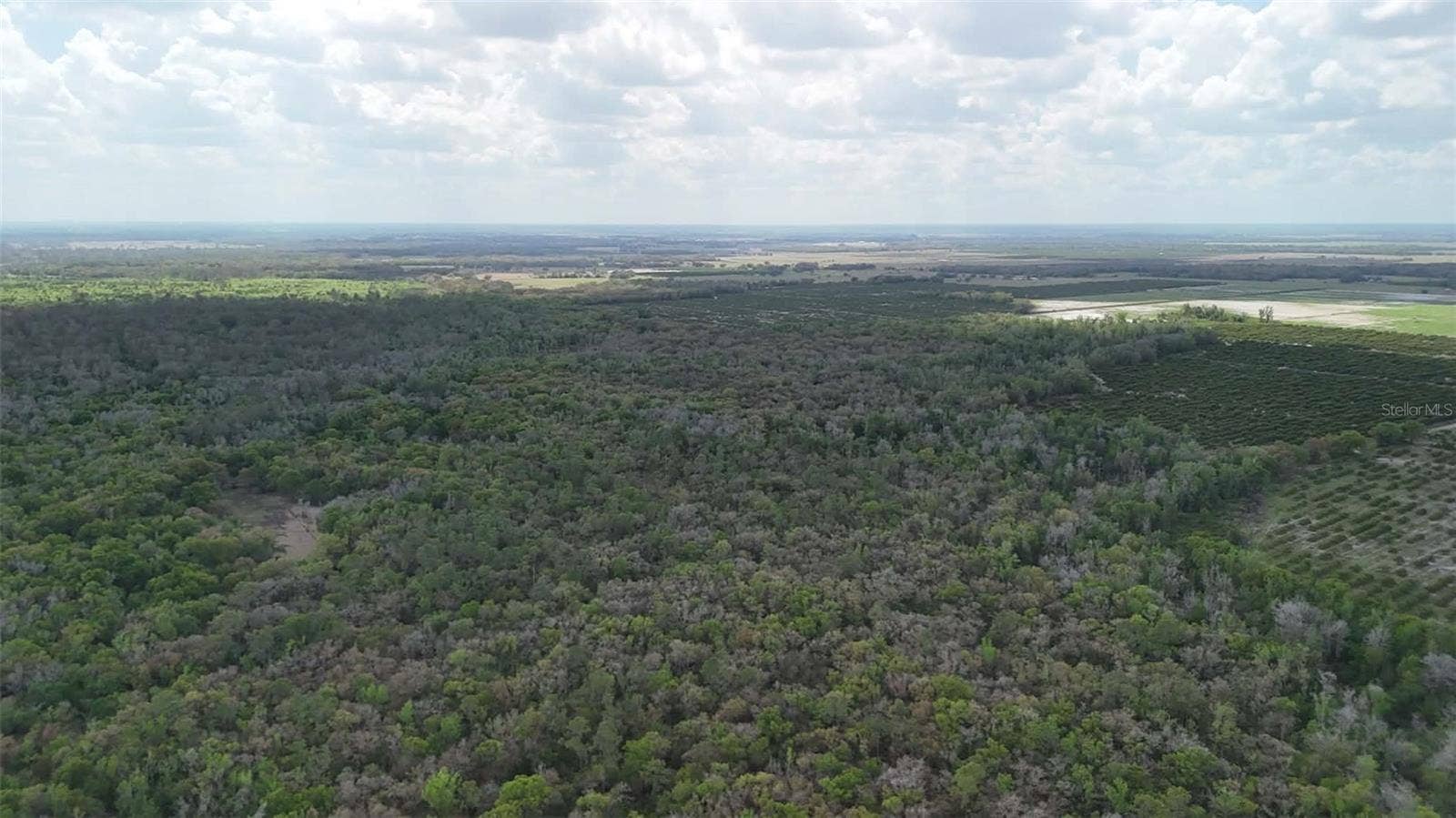 GILLETTE ROAD, Zolfo Springs, FL 33890 GILLETTE ROAD, Zolfo Springs, FL 33890