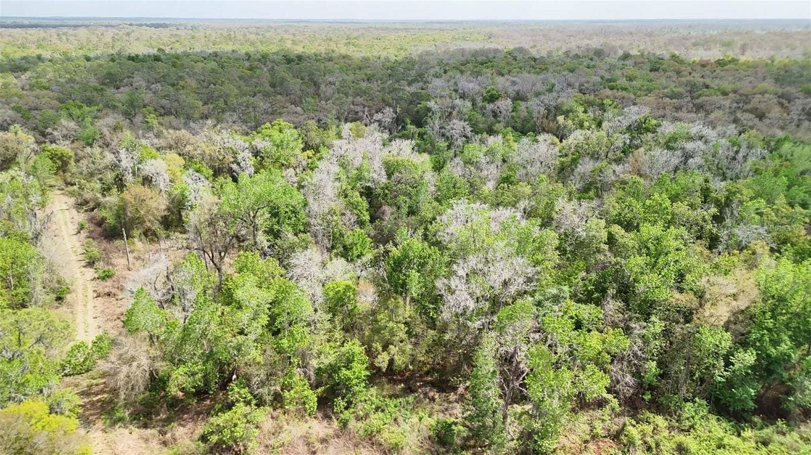 GILLETTE ROAD, Zolfo Springs, FL 33890 GILLETTE ROAD, Zolfo Springs, FL 33890