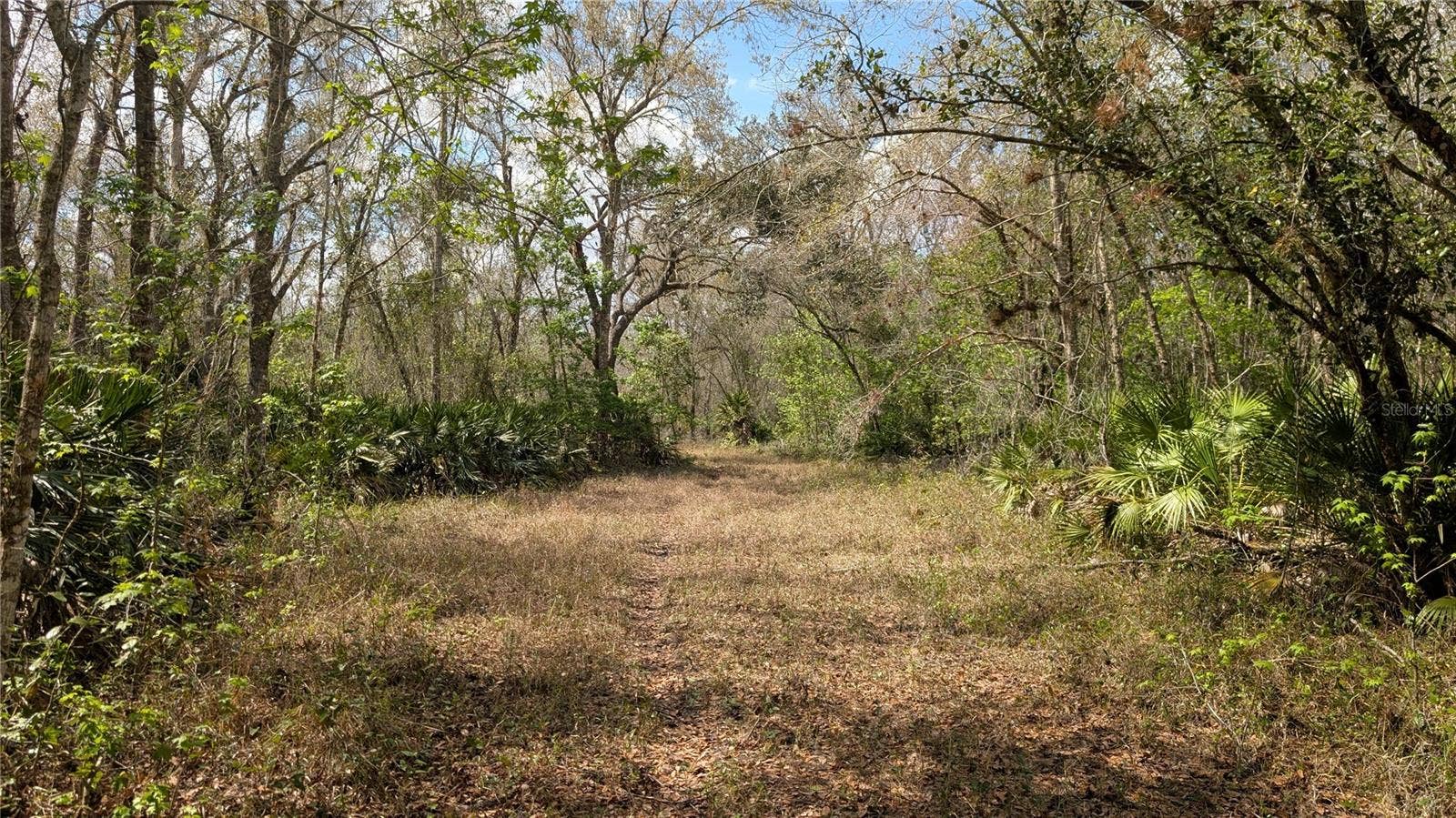GILLETTE ROAD, Zolfo Springs, FL 33890 GILLETTE ROAD, Zolfo Springs, FL 33890