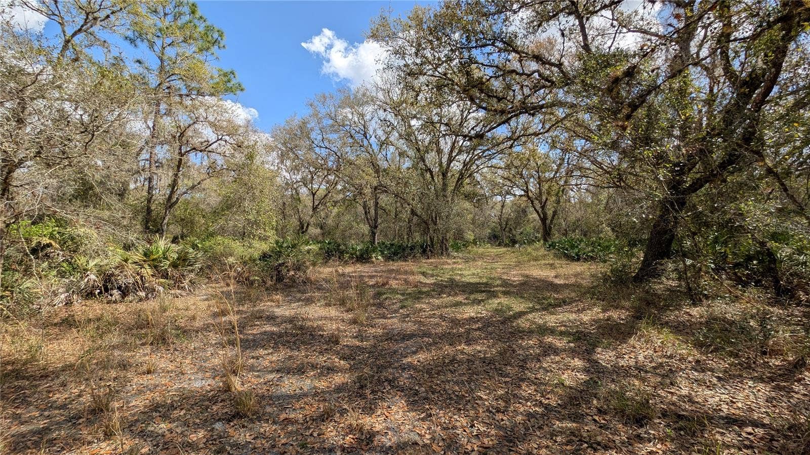 GILLETTE ROAD, Zolfo Springs, FL 33890 GILLETTE ROAD, Zolfo Springs, FL 33890