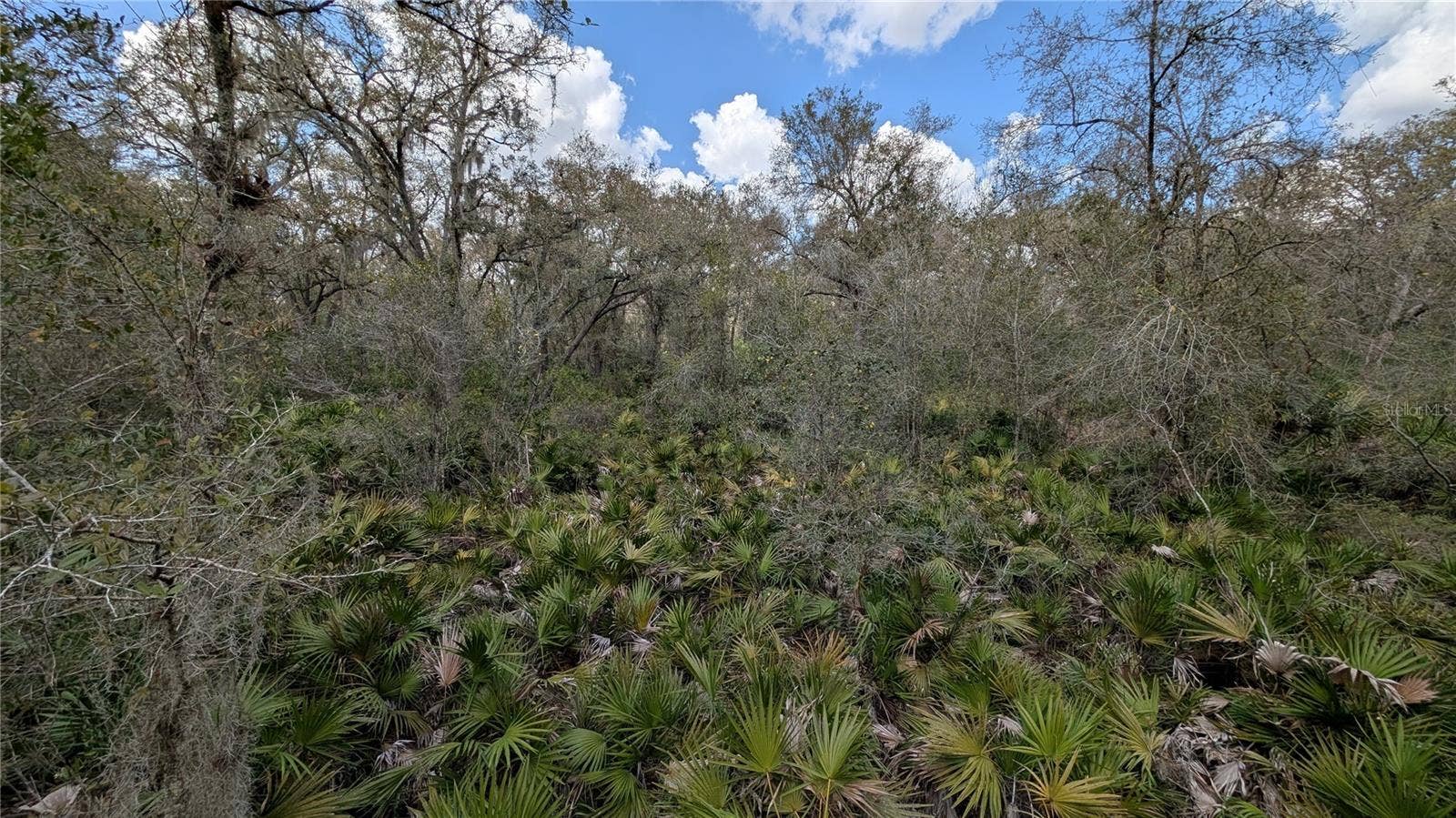 GILLETTE ROAD, Zolfo Springs, FL 33890 GILLETTE ROAD, Zolfo Springs, FL 33890