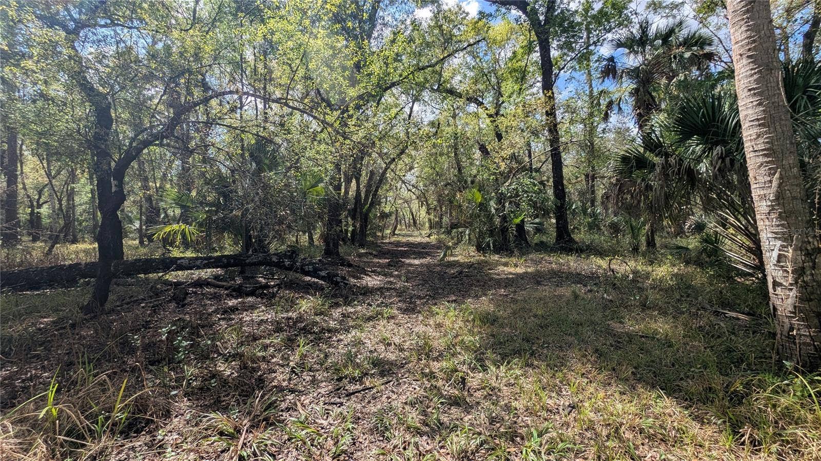 GILLETTE ROAD, Zolfo Springs, FL 33890 GILLETTE ROAD, Zolfo Springs, FL 33890