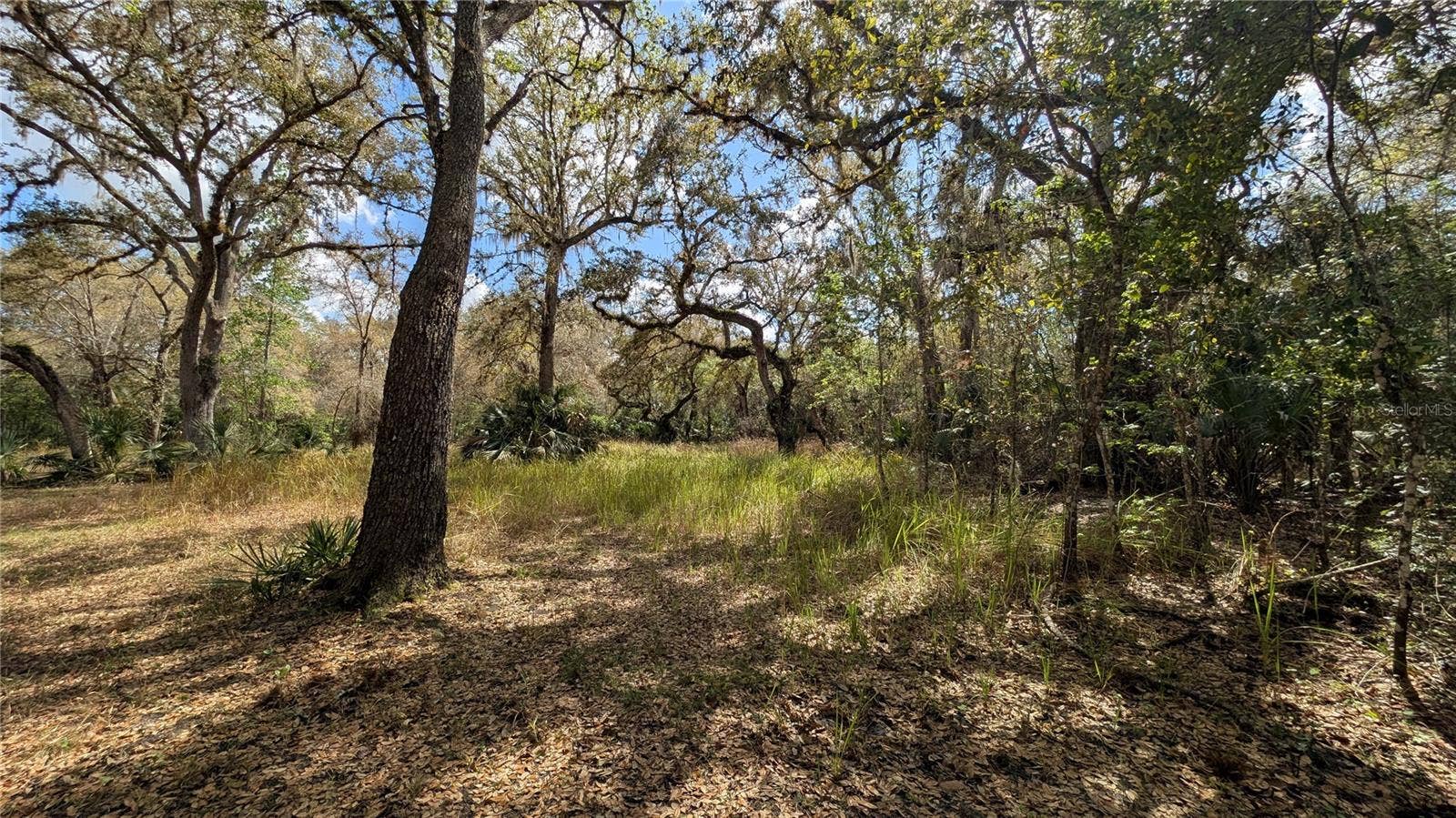 GILLETTE ROAD, Zolfo Springs, FL 33890 GILLETTE ROAD, Zolfo Springs, FL 33890