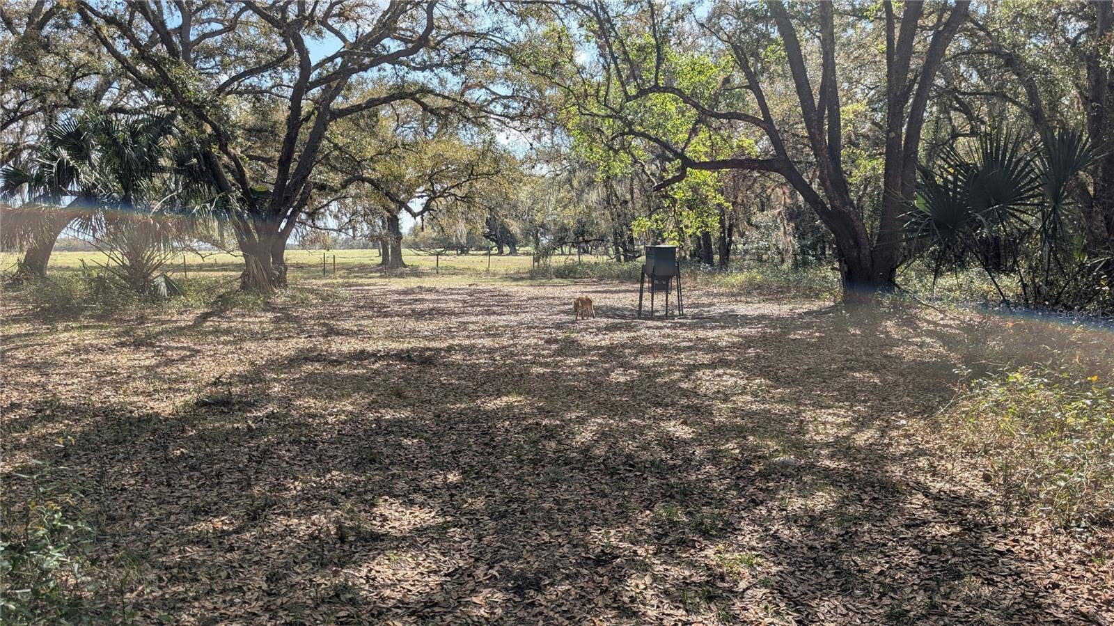 GILLETTE ROAD, Zolfo Springs, FL 33890 GILLETTE ROAD, Zolfo Springs, FL 33890