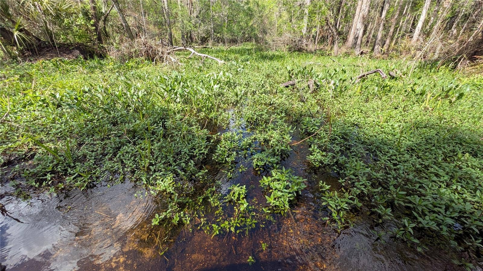 GILLETTE ROAD, Zolfo Springs, FL 33890 GILLETTE ROAD, Zolfo Springs, FL 33890