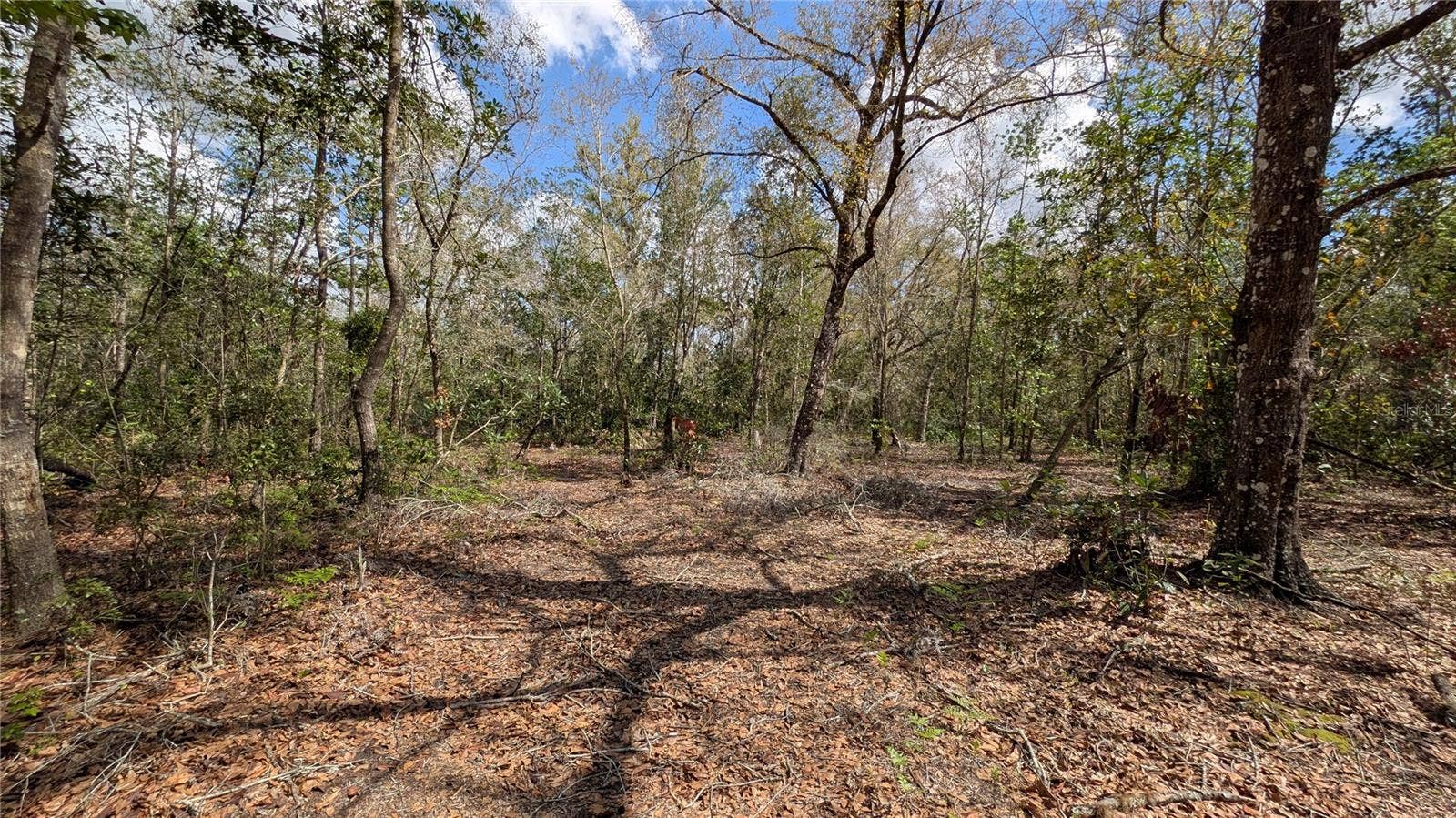 GILLETTE ROAD, Zolfo Springs, FL 33890 GILLETTE ROAD, Zolfo Springs, FL 33890