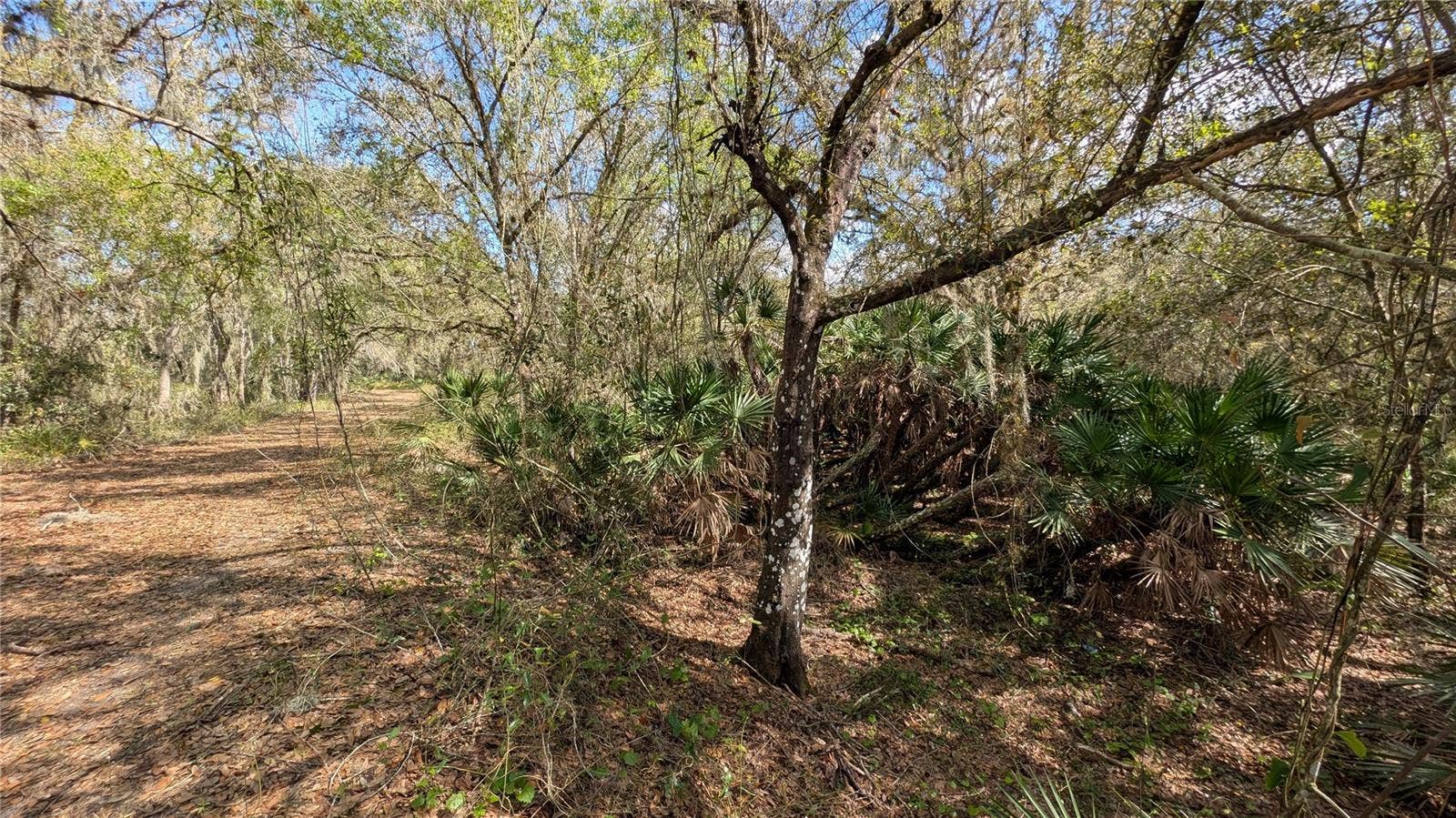 GILLETTE ROAD, Zolfo Springs, FL 33890 GILLETTE ROAD, Zolfo Springs, FL 33890