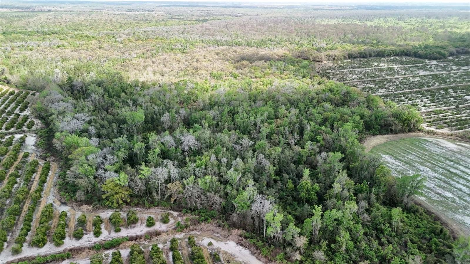 GILLETTE ROAD, Zolfo Springs, FL 33890 GILLETTE ROAD, Zolfo Springs, FL 33890