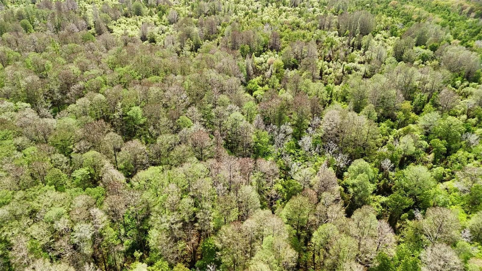 GILLETTE ROAD, Zolfo Springs, FL 33890 GILLETTE ROAD, Zolfo Springs, FL 33890