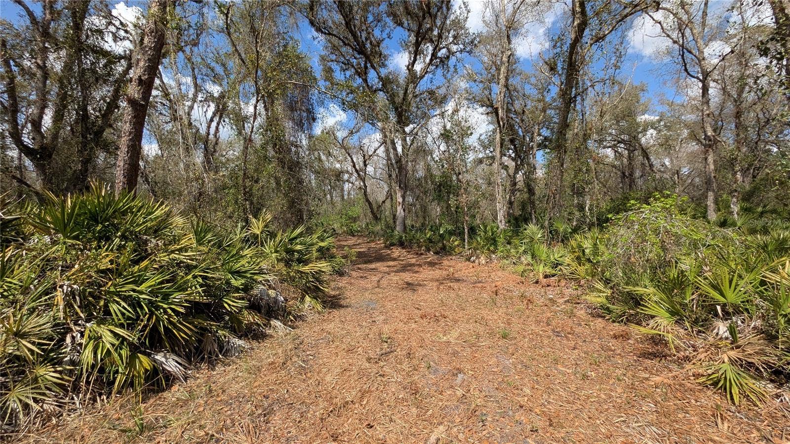 GILLETTE ROAD, Zolfo Springs, FL 33890 GILLETTE ROAD, Zolfo Springs, FL 33890