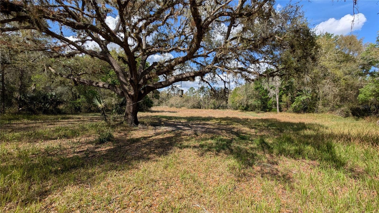GILLETTE ROAD, Zolfo Springs, FL 33890 GILLETTE ROAD, Zolfo Springs, FL 33890