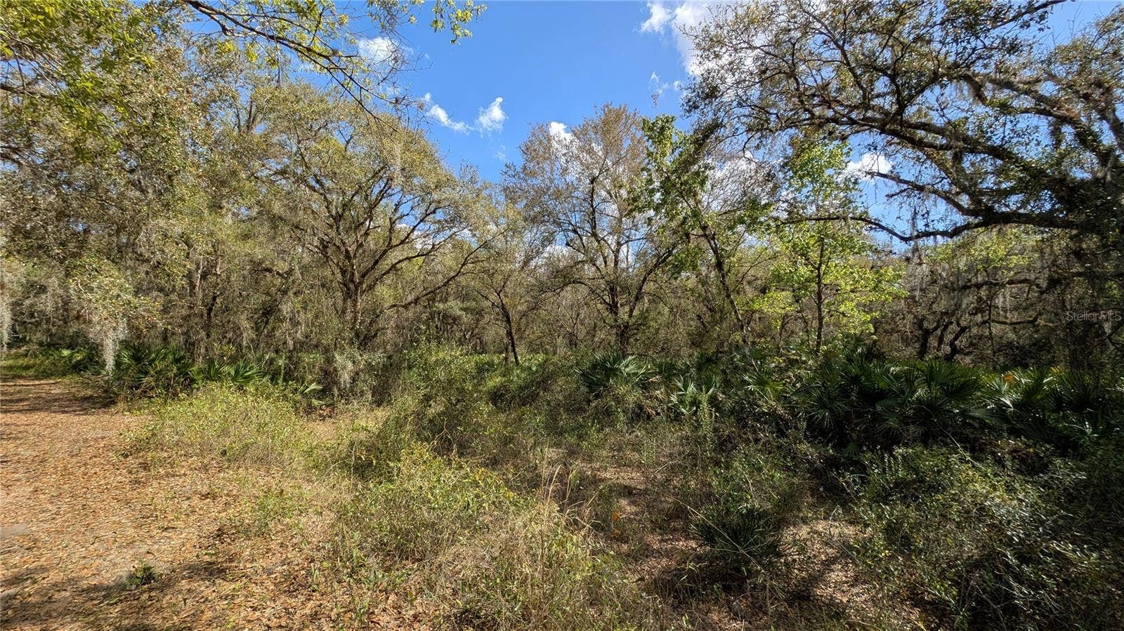 GILLETTE ROAD, Zolfo Springs, FL 33890 GILLETTE ROAD, Zolfo Springs, FL 33890