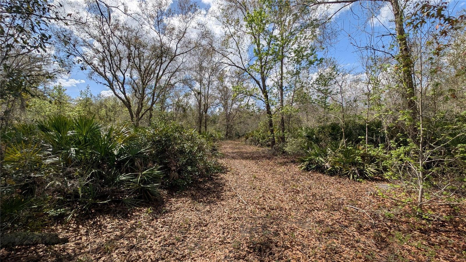 GILLETTE ROAD, Zolfo Springs, FL 33890 GILLETTE ROAD, Zolfo Springs, FL 33890