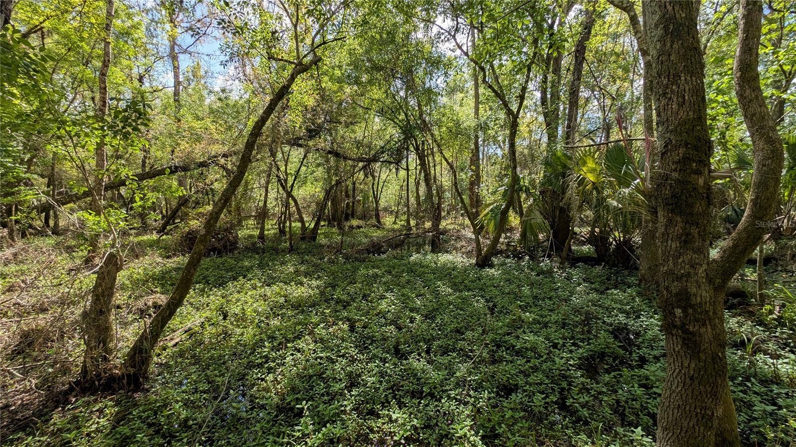GILLETTE ROAD, Zolfo Springs, FL 33890 GILLETTE ROAD, Zolfo Springs, FL 33890