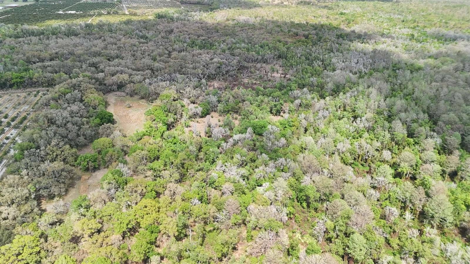 GILLETTE ROAD, Zolfo Springs, FL 33890 GILLETTE ROAD, Zolfo Springs, FL 33890