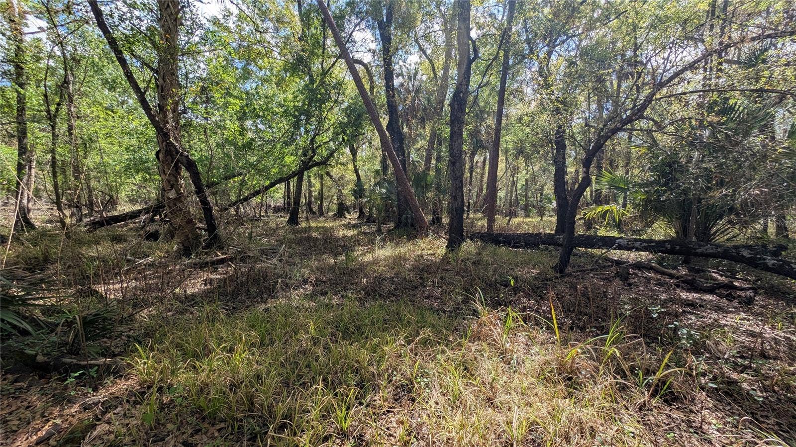 GILLETTE ROAD, Zolfo Springs, FL 33890 GILLETTE ROAD, Zolfo Springs, FL 33890