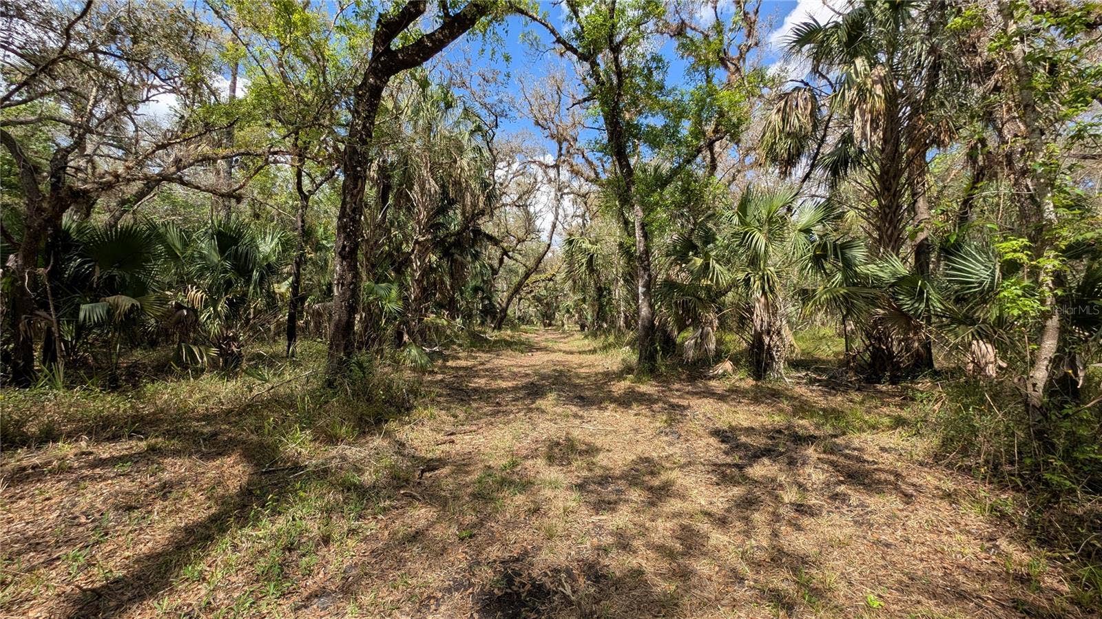 GILLETTE ROAD, Zolfo Springs, FL 33890 GILLETTE ROAD, Zolfo Springs, FL 33890