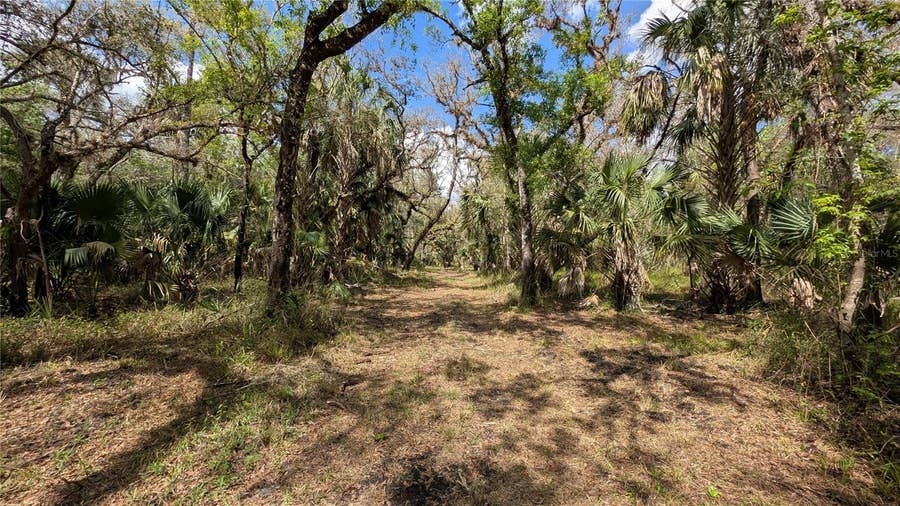 Property photo for GILLETTE ROAD, Zolfo Springs, FL