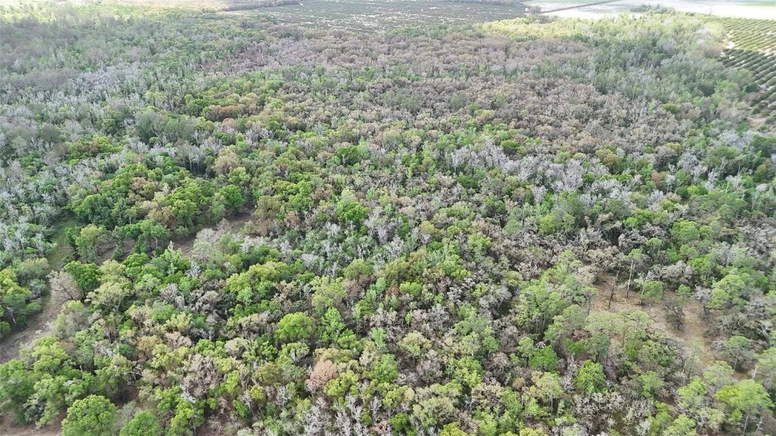 GILLETTE ROAD, Zolfo Springs, FL 33890 GILLETTE ROAD, Zolfo Springs, FL 33890
