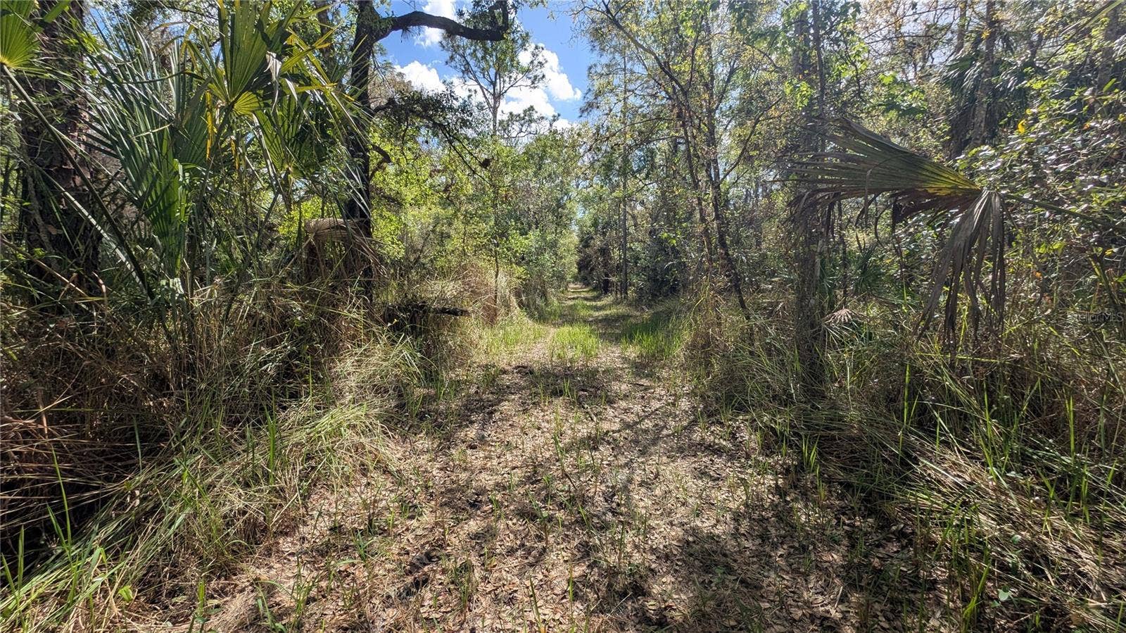 GILLETTE ROAD, Zolfo Springs, FL 33890 GILLETTE ROAD, Zolfo Springs, FL 33890