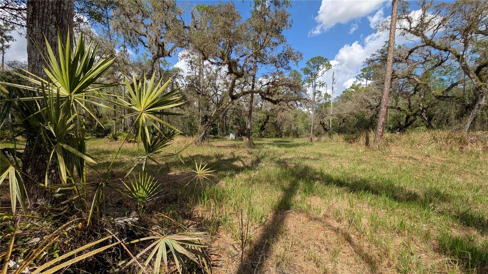 GILLETTE ROAD, Zolfo Springs, FL 33890 GILLETTE ROAD, Zolfo Springs, FL 33890
