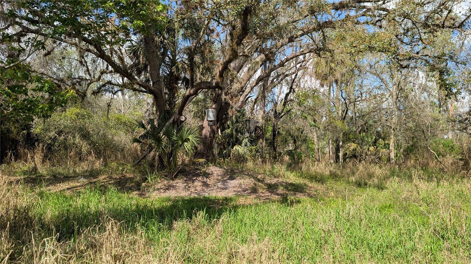 GILLETTE ROAD, Zolfo Springs, FL 33890 GILLETTE ROAD, Zolfo Springs, FL 33890
