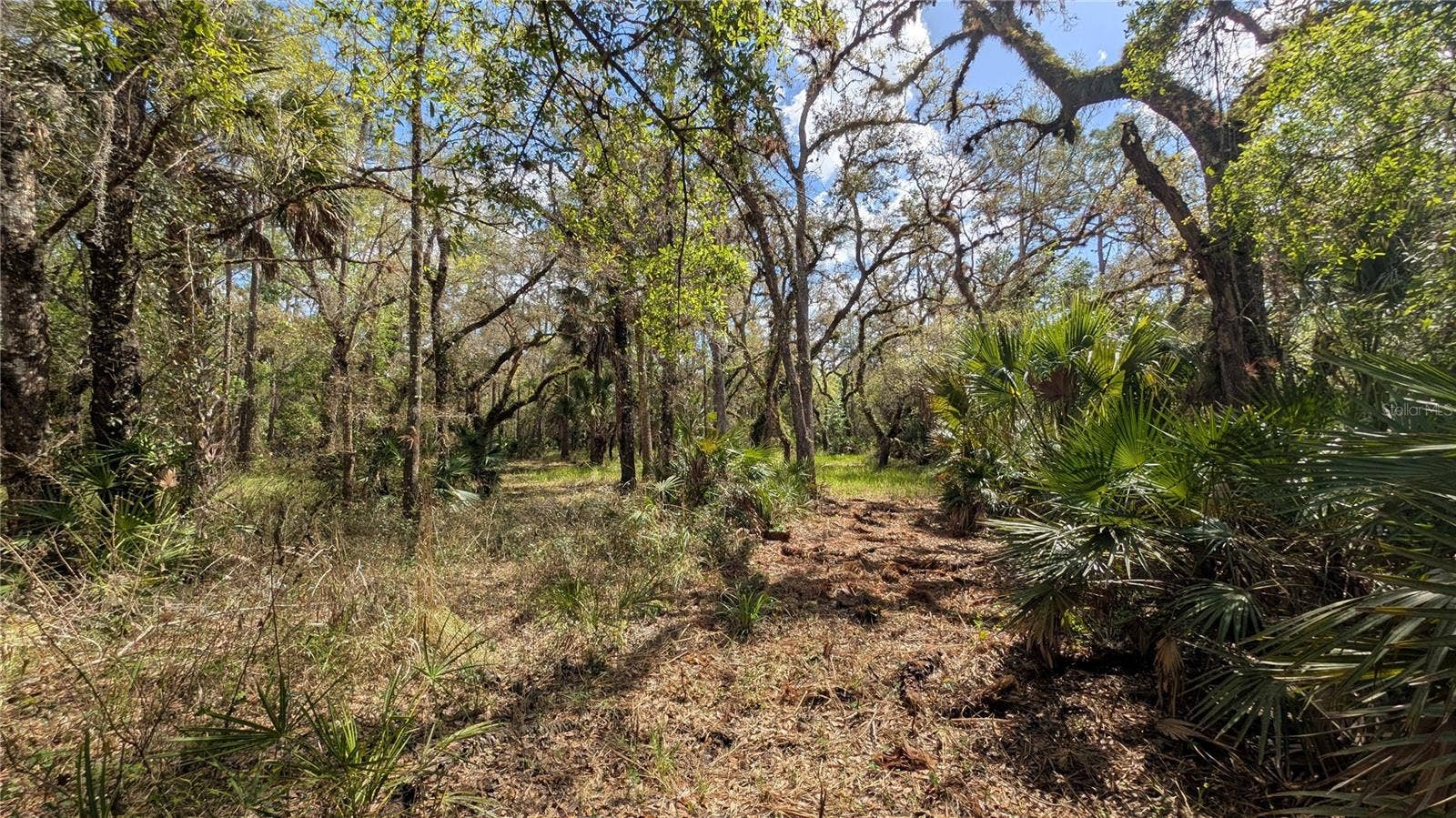 GILLETTE ROAD, Zolfo Springs, FL 33890 GILLETTE ROAD, Zolfo Springs, FL 33890