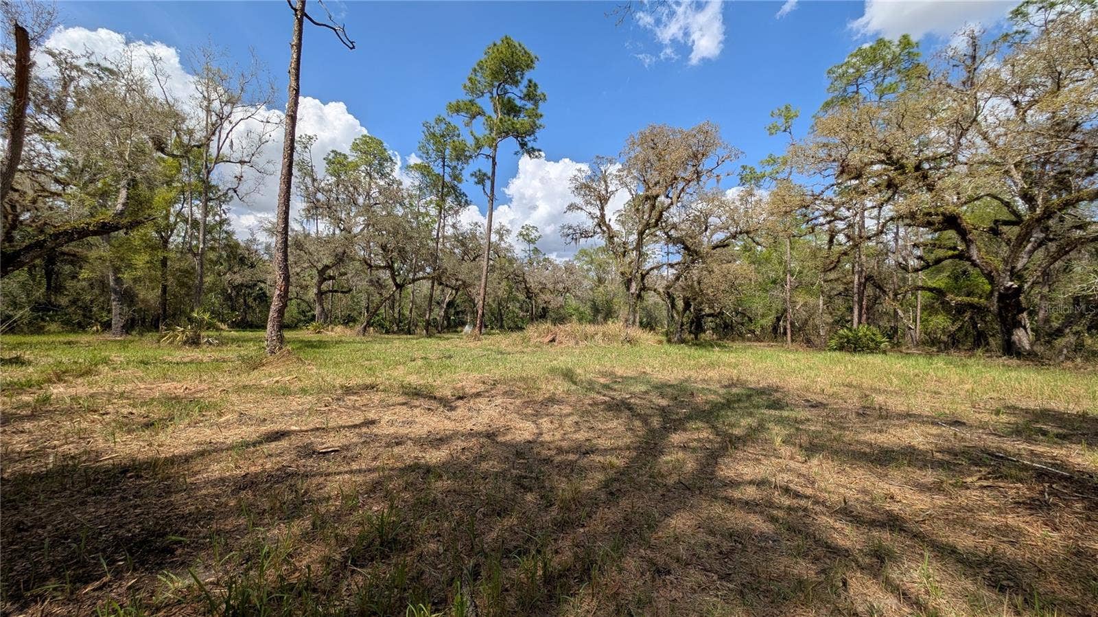 GILLETTE ROAD, Zolfo Springs, FL 33890 GILLETTE ROAD, Zolfo Springs, FL 33890