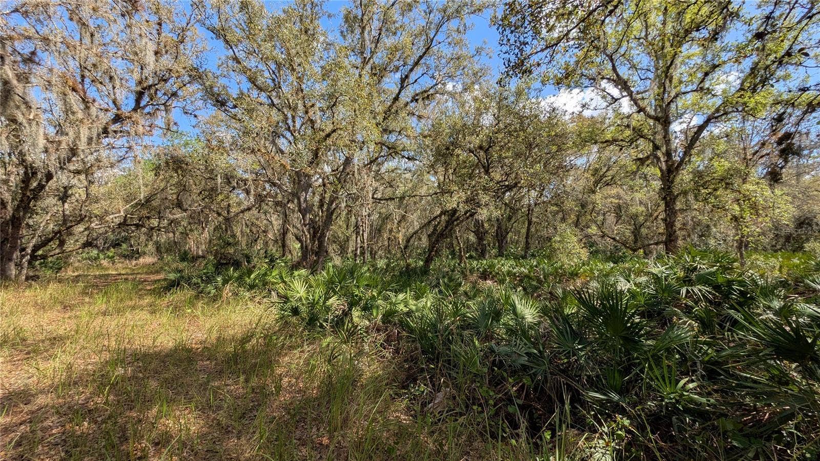 GILLETTE ROAD, Zolfo Springs, FL 33890 GILLETTE ROAD, Zolfo Springs, FL 33890