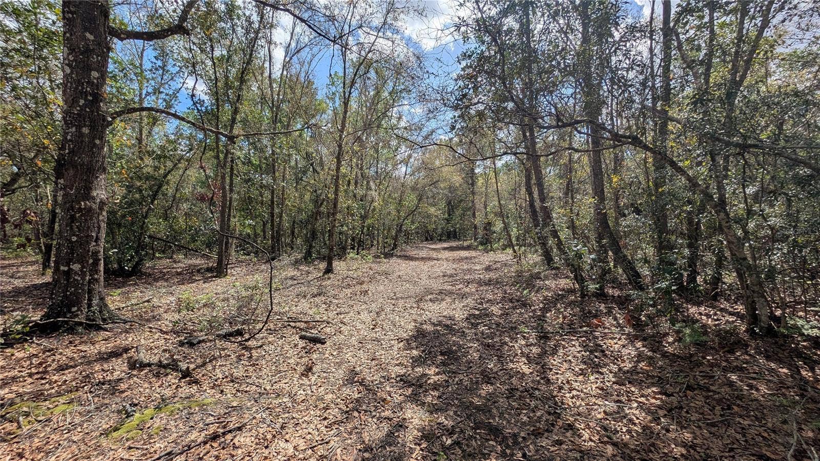 GILLETTE ROAD, Zolfo Springs, FL 33890 GILLETTE ROAD, Zolfo Springs, FL 33890