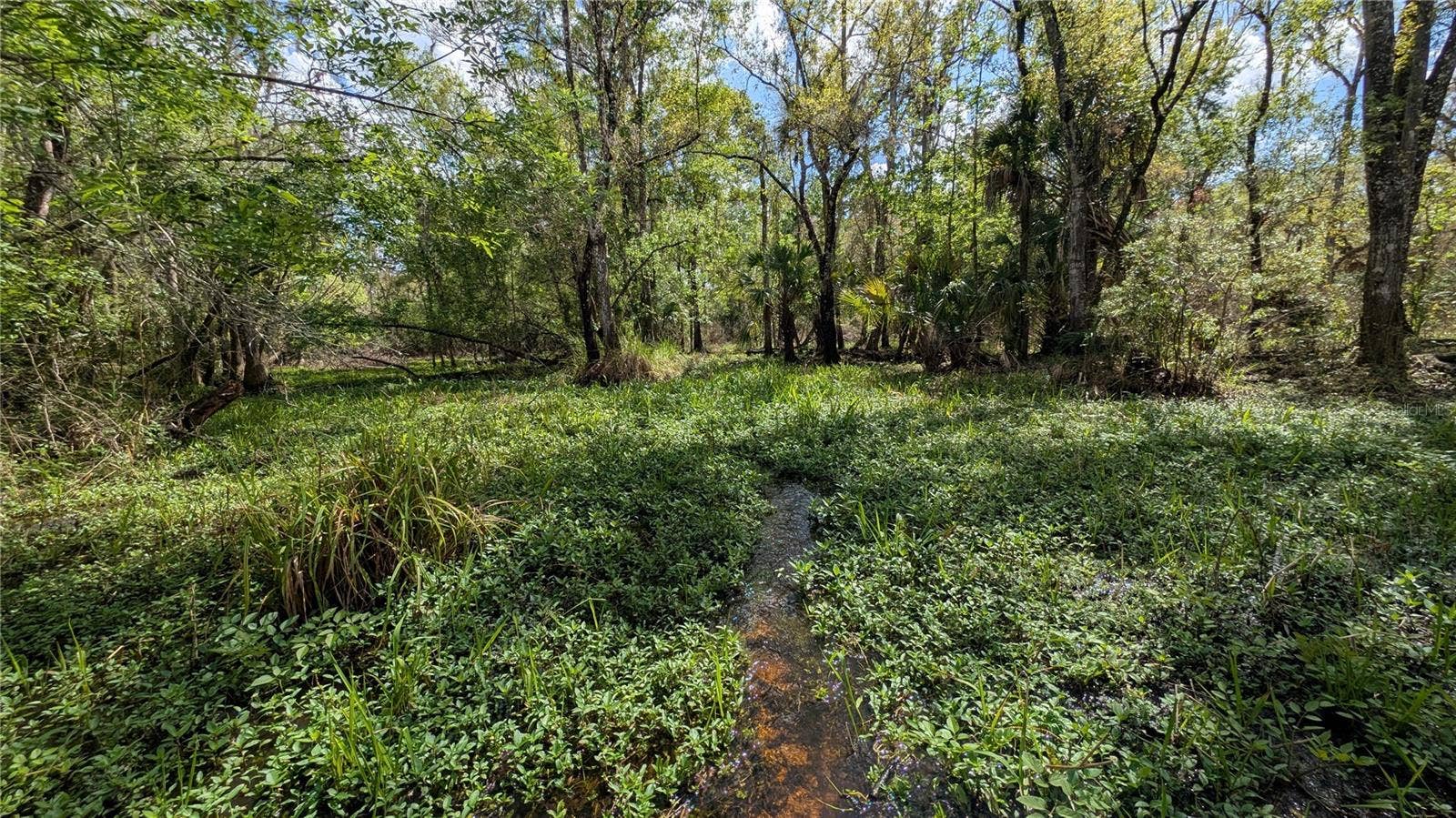 GILLETTE ROAD, Zolfo Springs, FL 33890 GILLETTE ROAD, Zolfo Springs, FL 33890