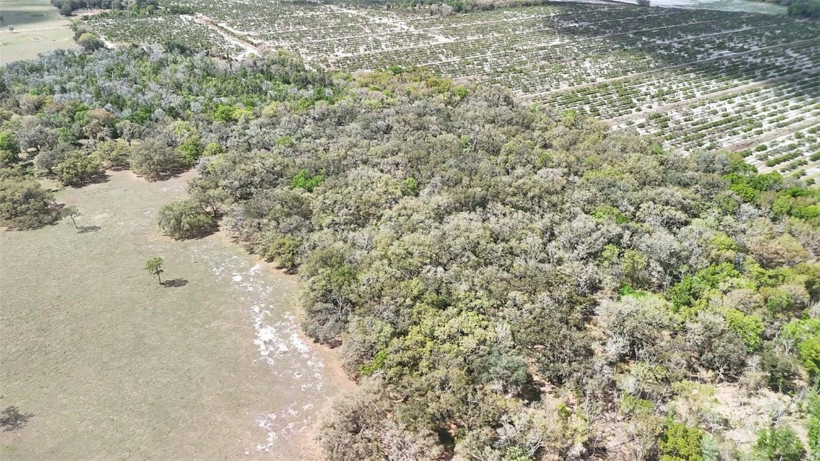 GILLETTE ROAD, Zolfo Springs, FL 33890 GILLETTE ROAD, Zolfo Springs, FL 33890