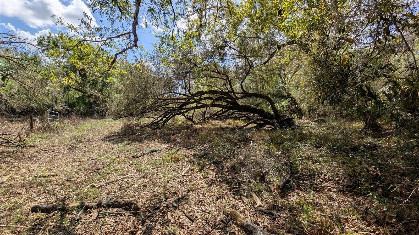 GILLETTE ROAD, Zolfo Springs, FL 33890 GILLETTE ROAD, Zolfo Springs, FL 33890