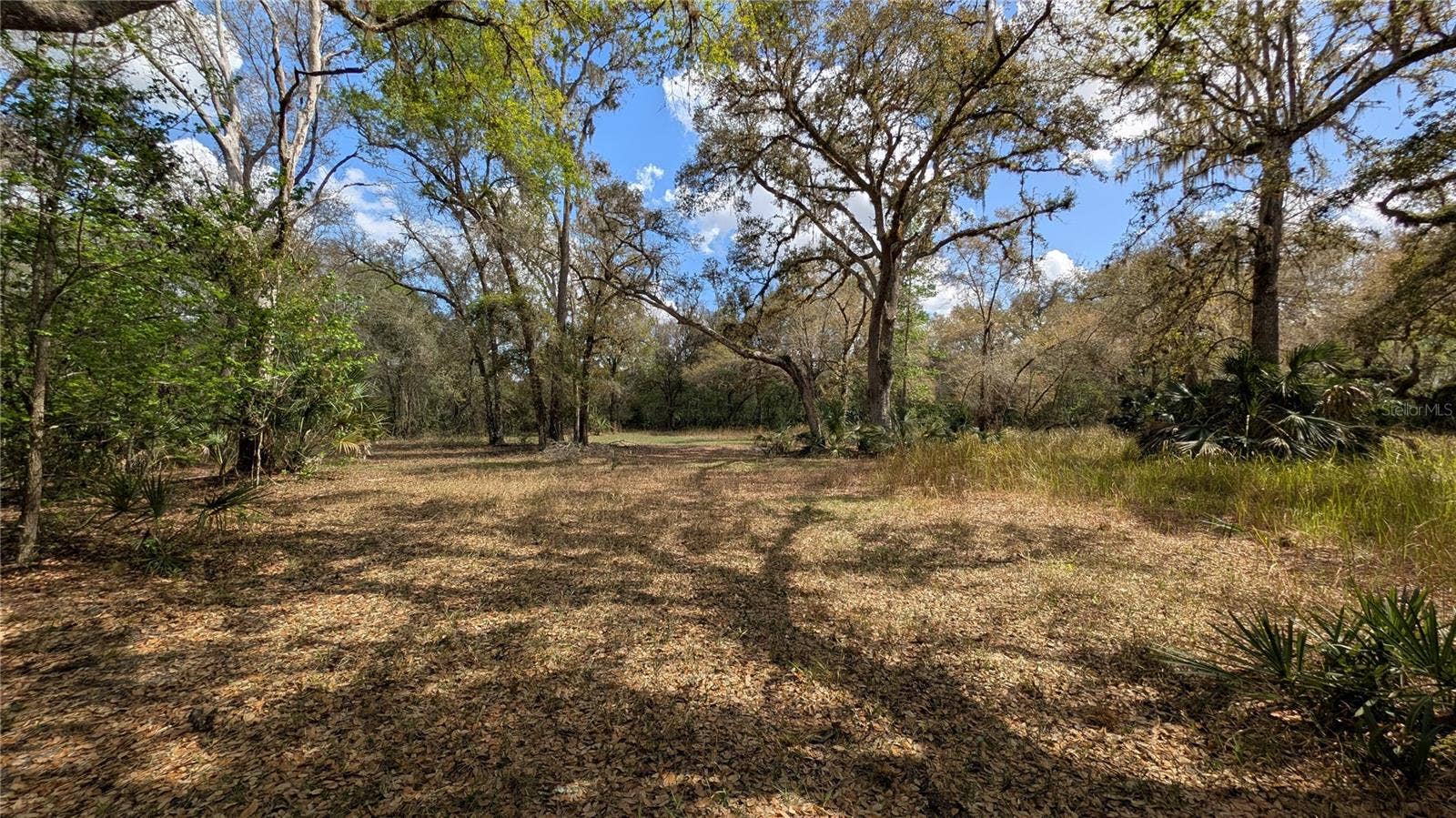 GILLETTE ROAD, Zolfo Springs, FL 33890 GILLETTE ROAD, Zolfo Springs, FL 33890