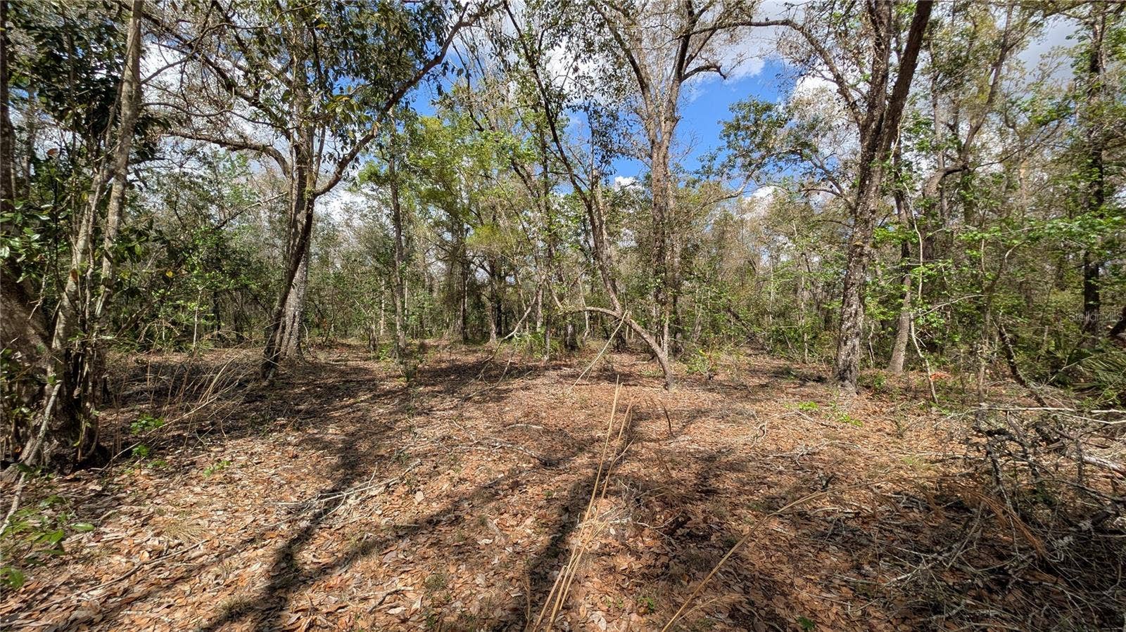 GILLETTE ROAD, Zolfo Springs, FL 33890 GILLETTE ROAD, Zolfo Springs, FL 33890
