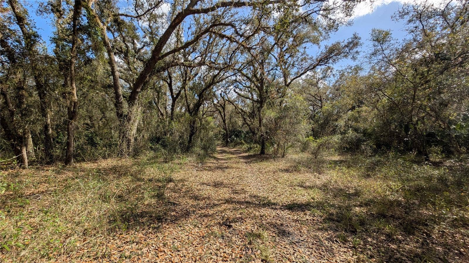 GILLETTE ROAD, Zolfo Springs, FL 33890 GILLETTE ROAD, Zolfo Springs, FL 33890