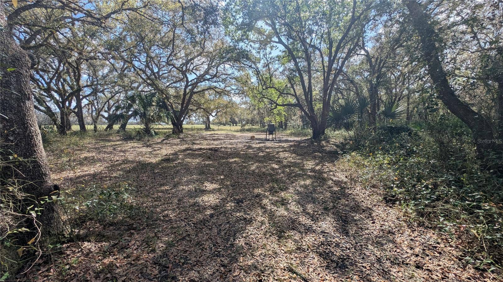 GILLETTE ROAD, Zolfo Springs, FL 33890 GILLETTE ROAD, Zolfo Springs, FL 33890