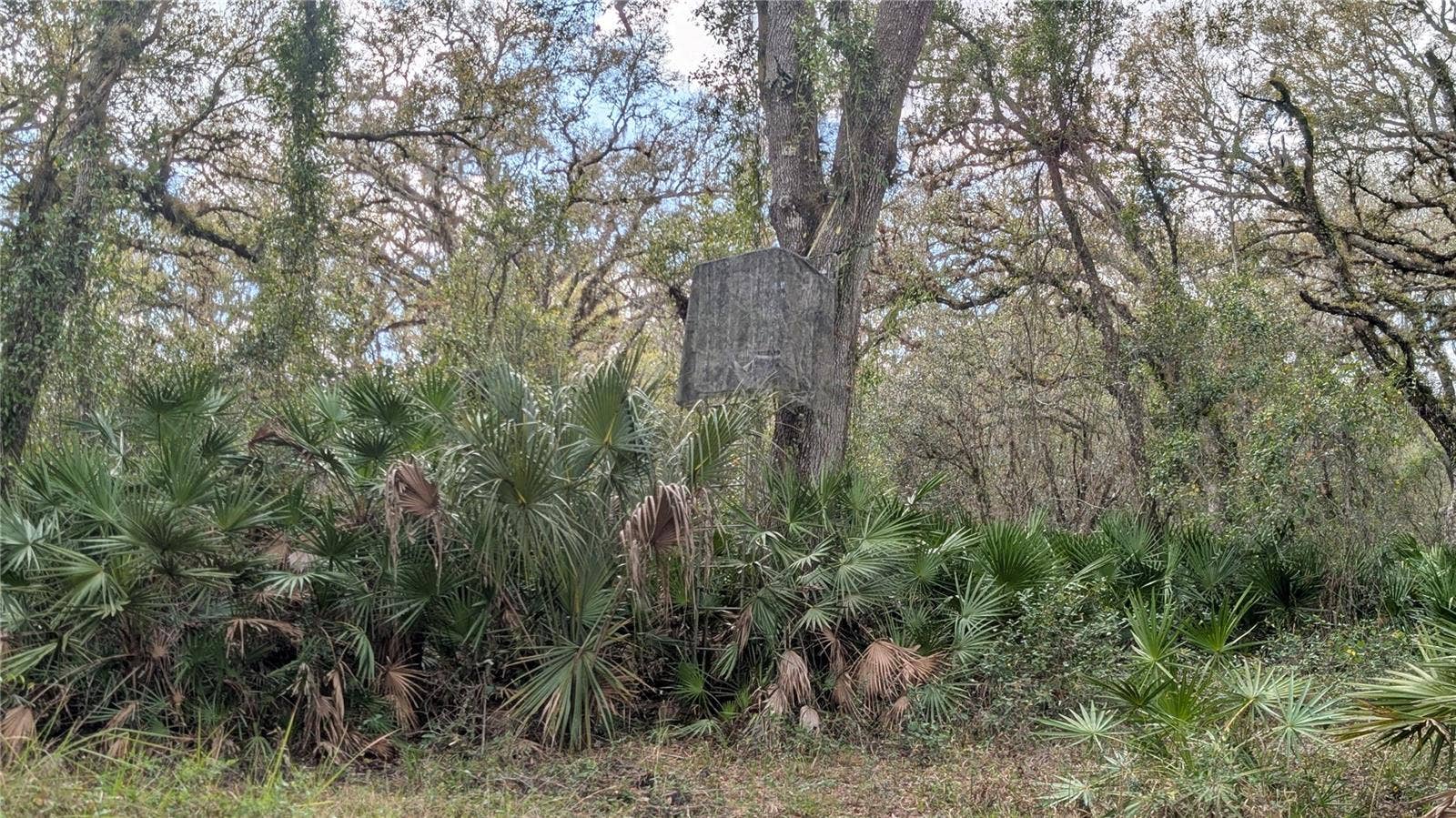 GILLETTE ROAD, Zolfo Springs, FL 33890 GILLETTE ROAD, Zolfo Springs, FL 33890