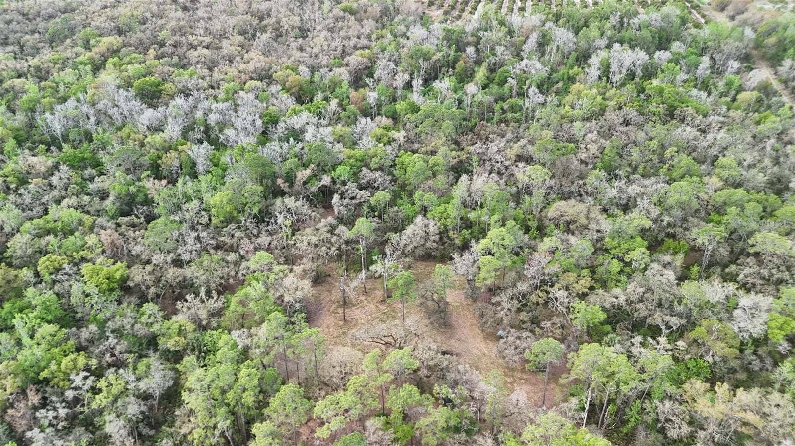 GILLETTE ROAD, Zolfo Springs, FL 33890 GILLETTE ROAD, Zolfo Springs, FL 33890